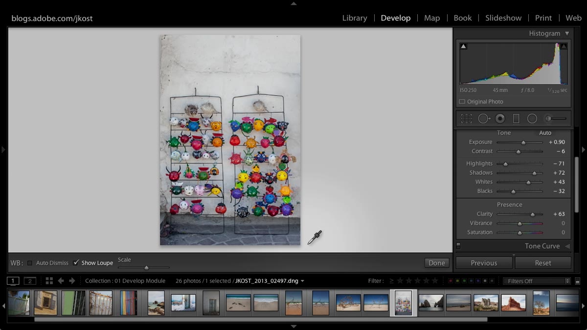 Colorful image loaded in Lightroom Develop module