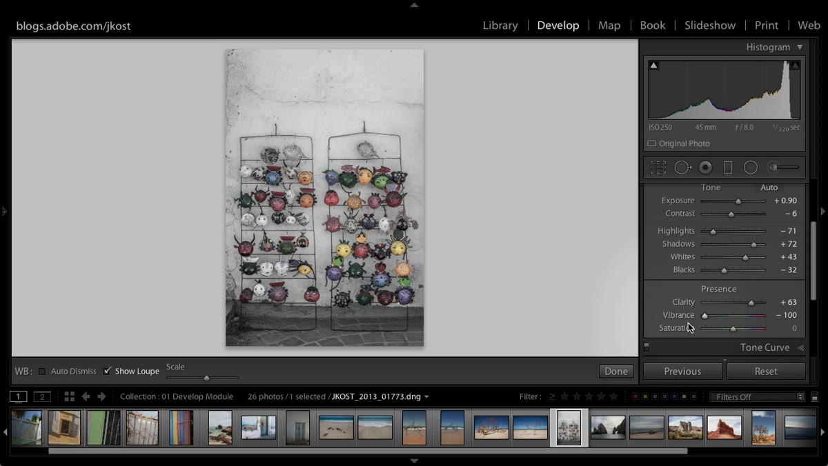 Vibrance slider dragged to negative 100