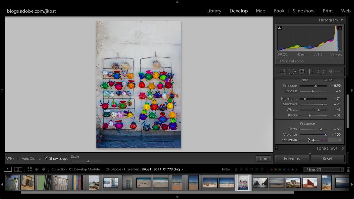 Vibrance slider at positive 100 showing red detail retained