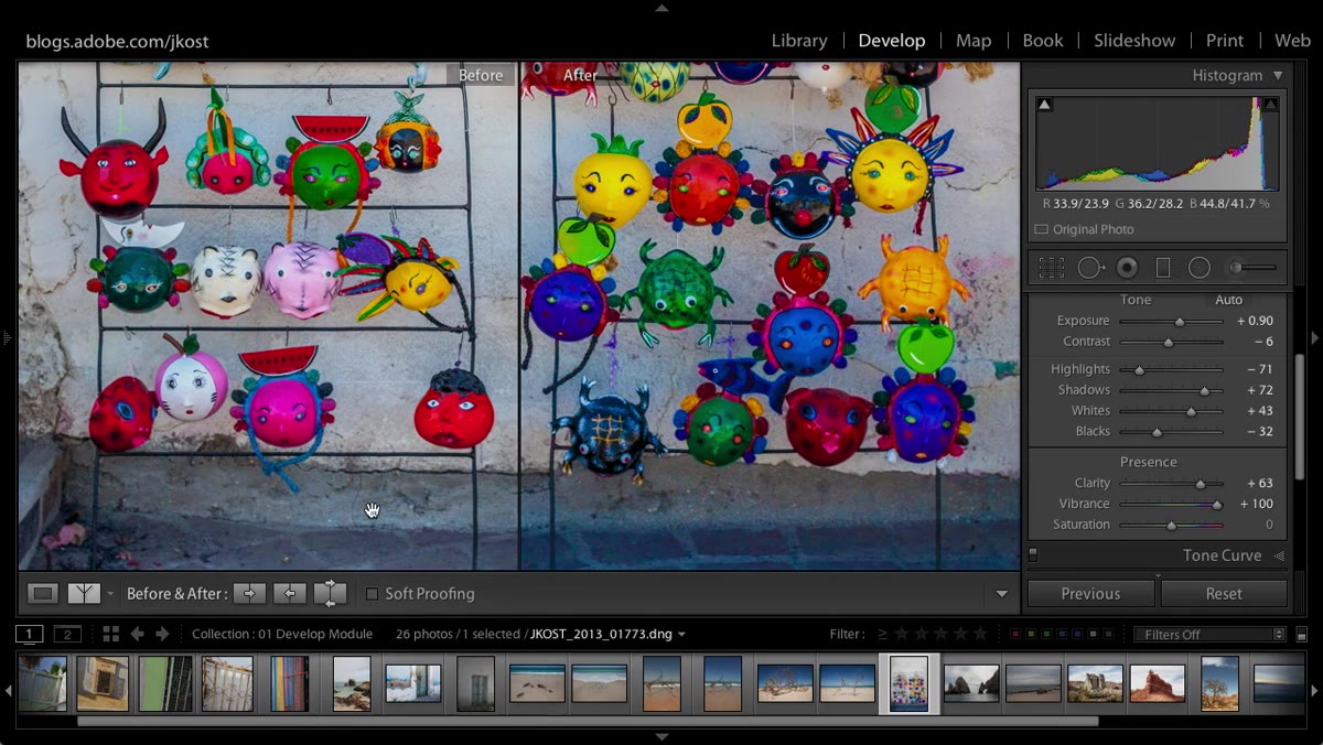 Lightroom split-screen view zoomed in on image detail