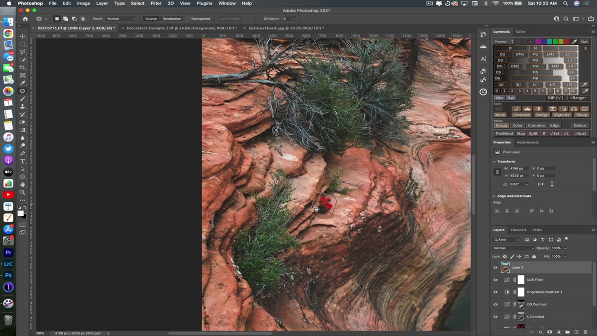Patch tool selected in Photoshop, lasso drawn around flower