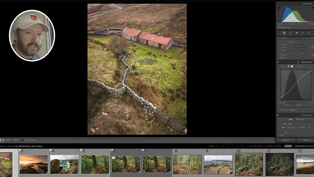 Vibrance and saturation sliders in the Basic panel