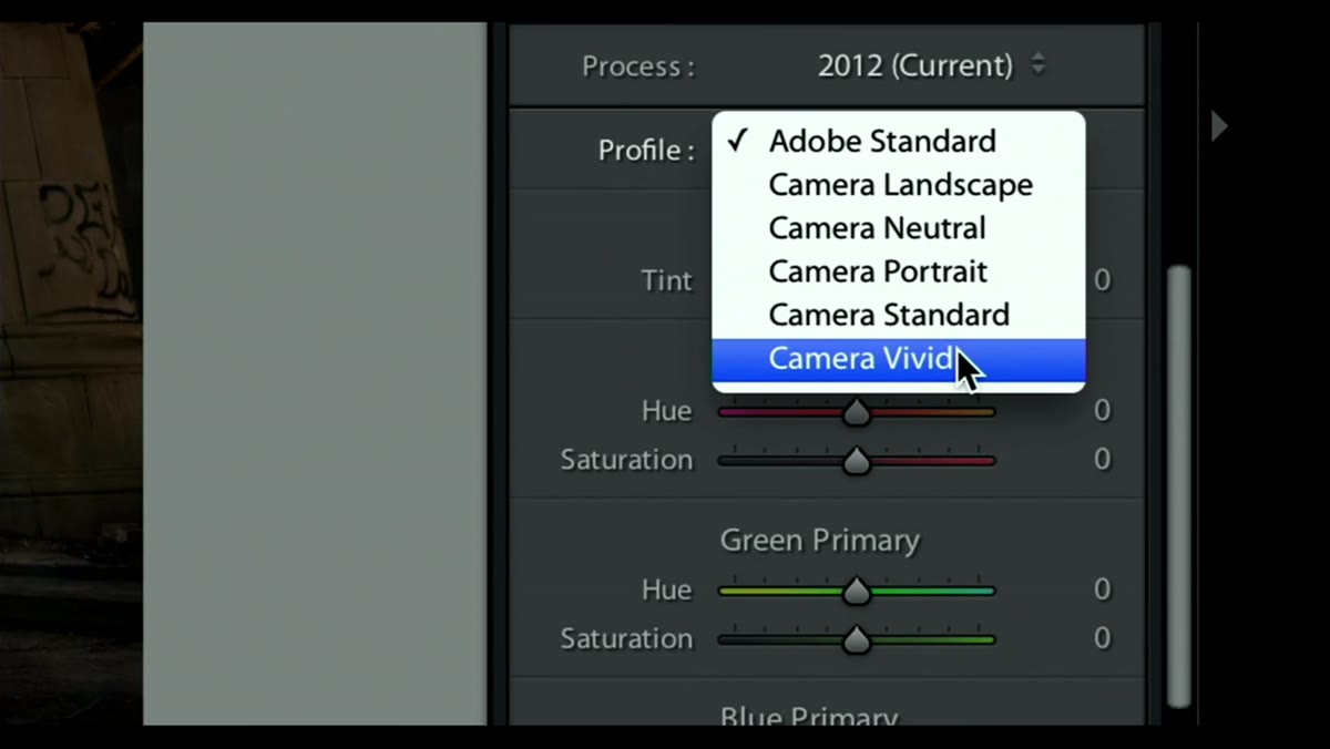 Profile dropdown open showing Camera Vivid selected, color shift visible