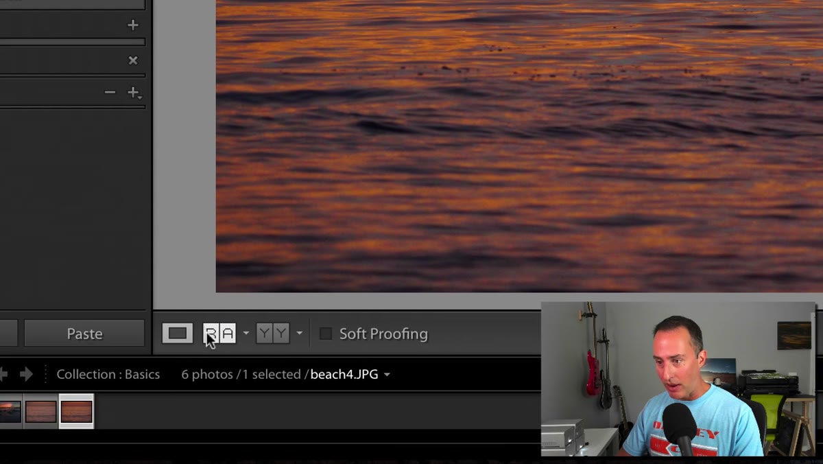 Reference View activated in Lightroom Develop module toolbar