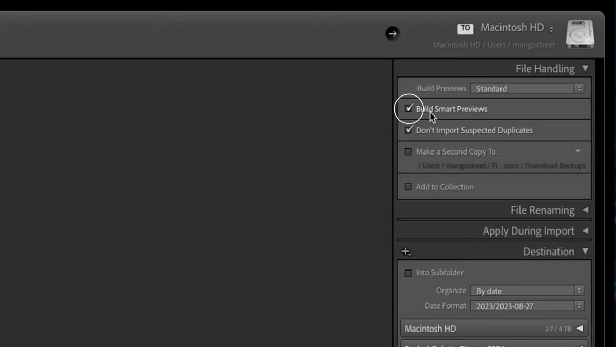 Import dialog with Build Smart Previews checkbox highlighted