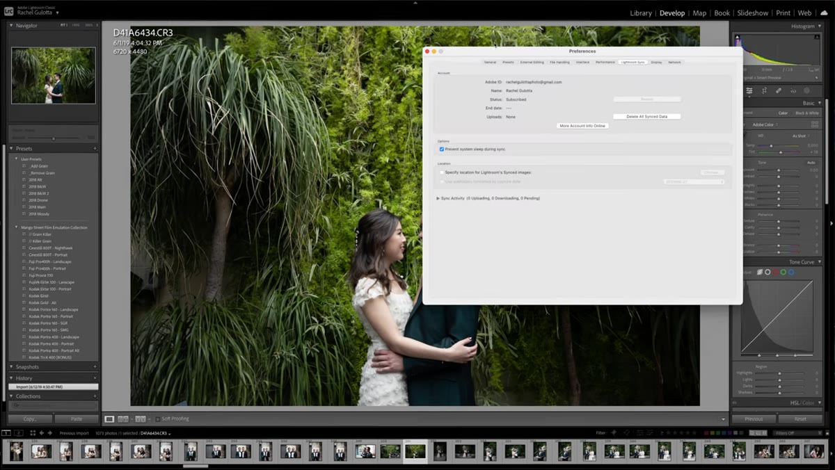 Lightroom Preferences window open on the Performance tab