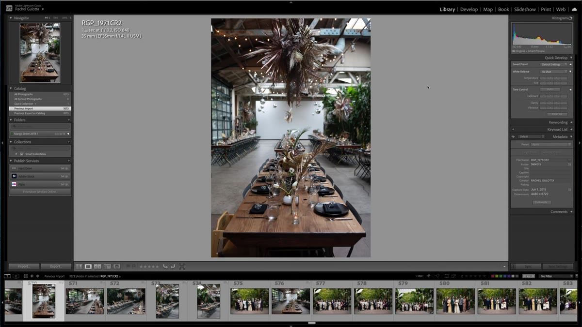 Develop module with Histogram and Navigator panels collapsed