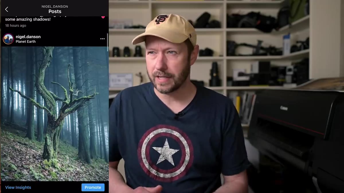 Side-by-side comparison of original vs. re-edited tree photo
