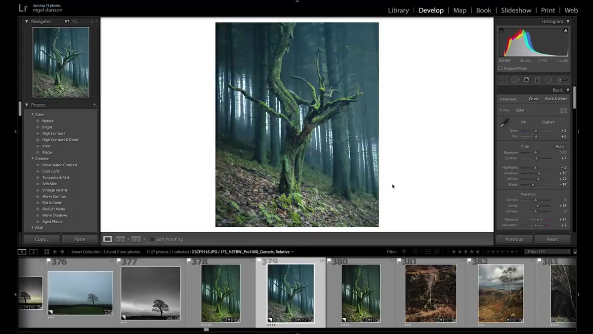 Color temperature and HSL sliders being adjusted for blue-toned edit