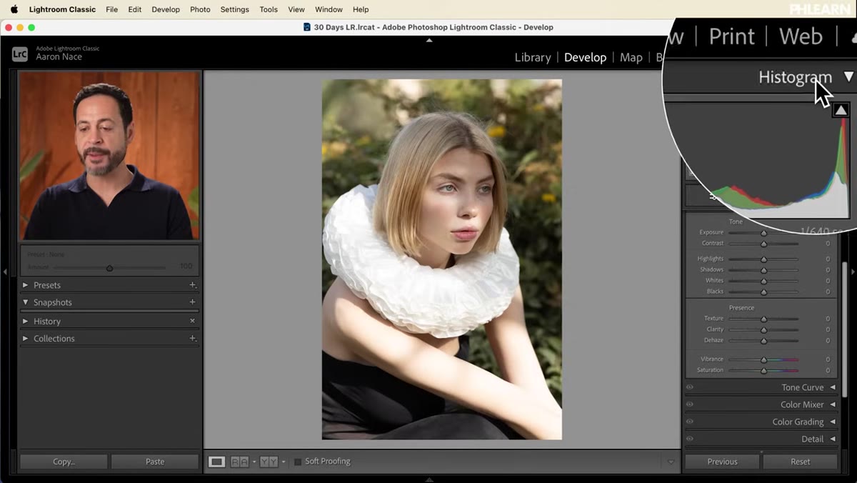 Histogram with labeled zones: blacks, shadows, exposure, highlights, whites