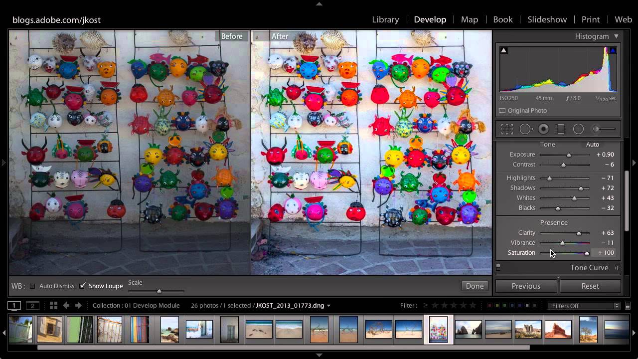 Vibrance vs. Saturation in Lightroom: What the Sliders Are Actually Doing to Your Colors