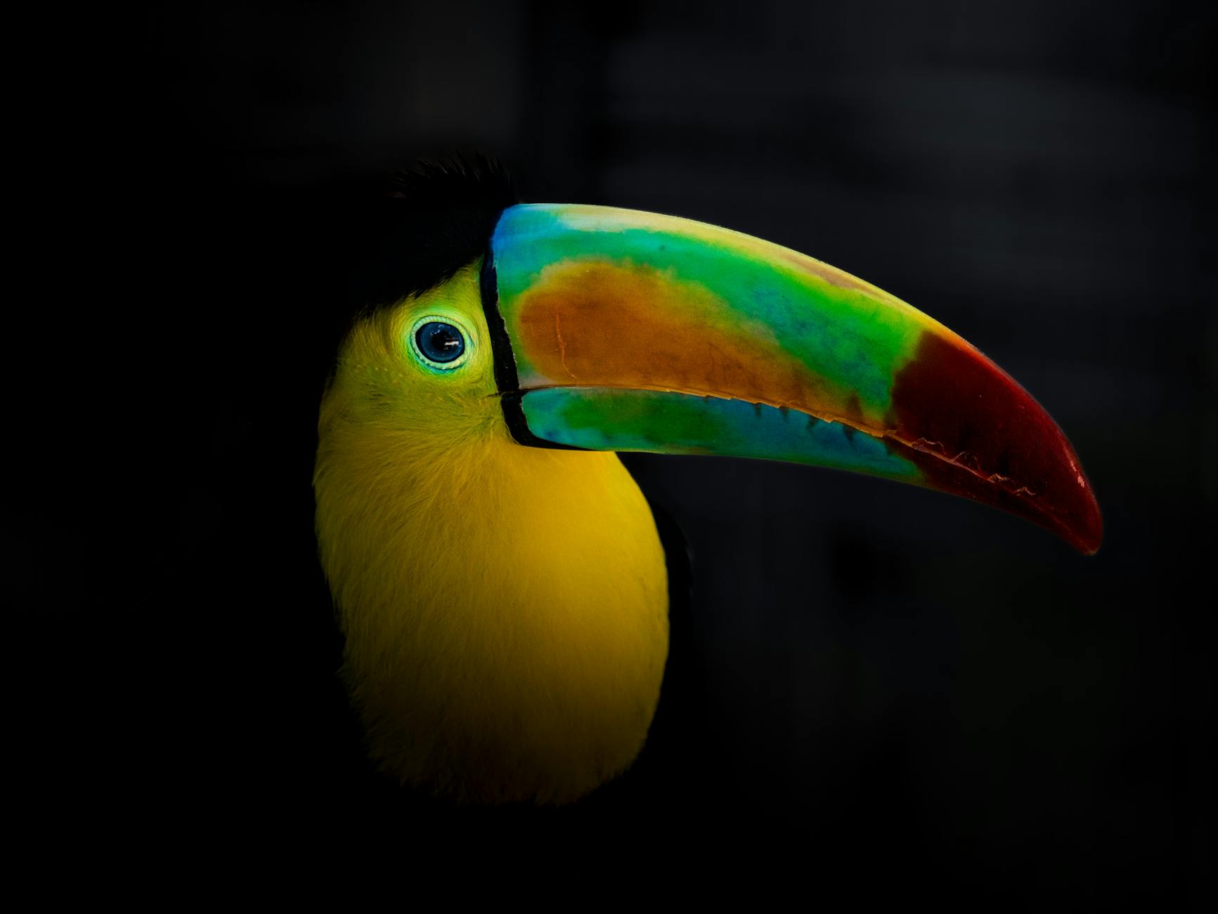 What a Modern Zelda Remake Means for Video Game Color Grading